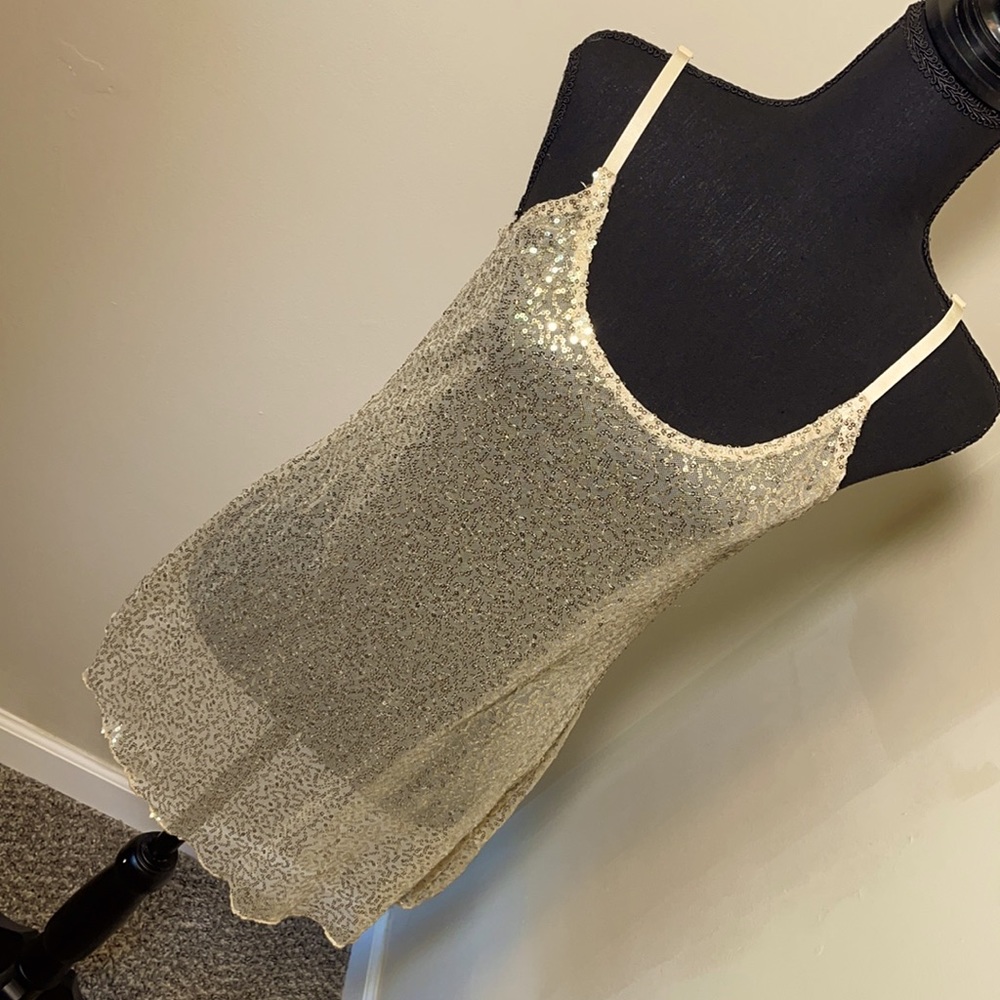 See through metaphor dress
